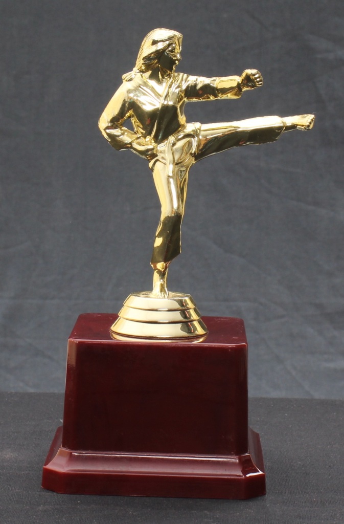 Karate Trophy